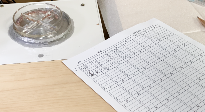 수술 후 이식량 확인