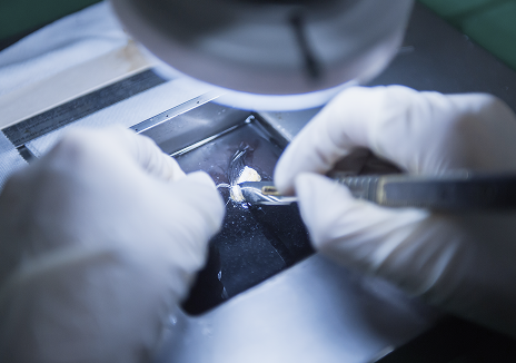 수중분리 아쿠아 커팅