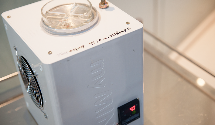 장기보존액 사용과 저온유지